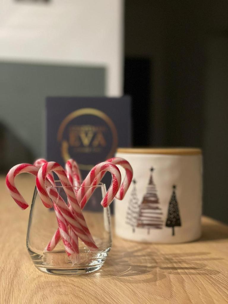 Apartman Eva, Moderan Stan U Srcu Zagorja Krapina Zewnętrze zdjęcie